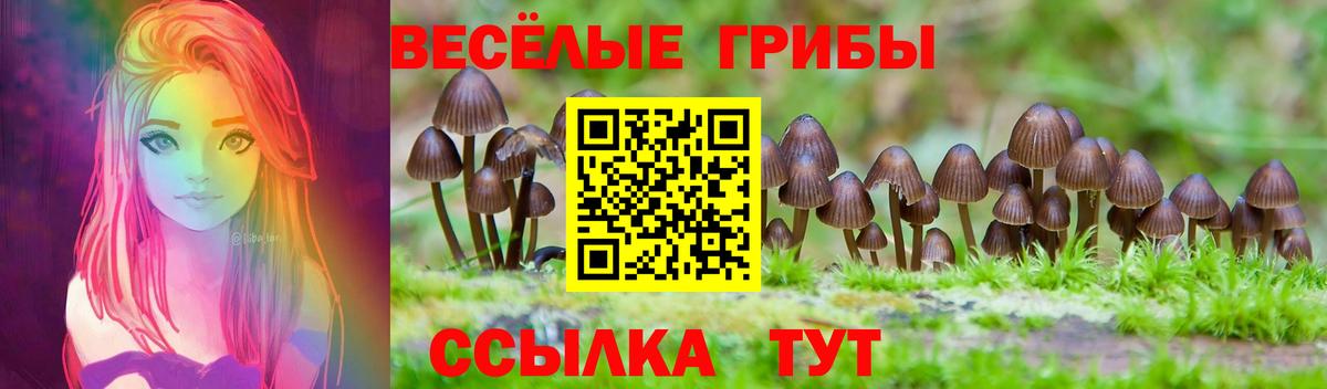 купить наркотики сайты  Галлюциногенные грибы мицелий  Псилоцибиновые грибы GOLDEN TEACHER  Вход с VPN  Губкинский 